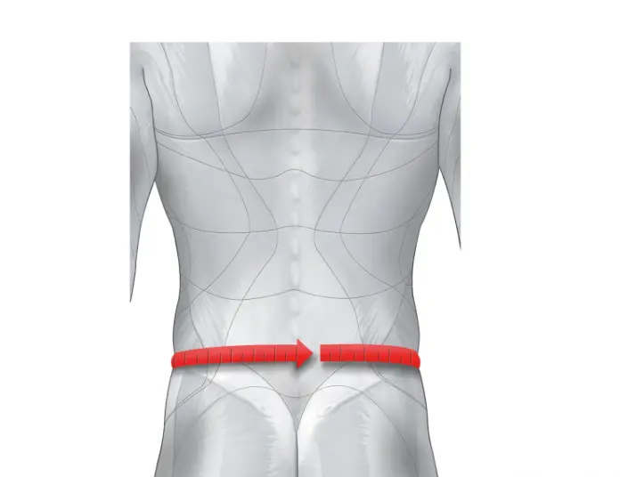 Ceinture lombaire