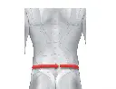 Ceinture lombaire