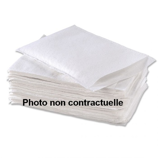[85300-03] 50 Gants Jetables Large molletonné M